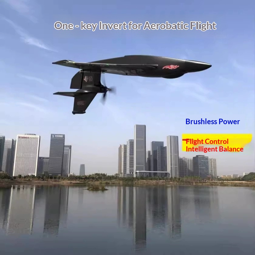 6CH RC Uçak H650 Raptor Fırças - Rc Glider Foam Wing incelemesi ve fiyatı